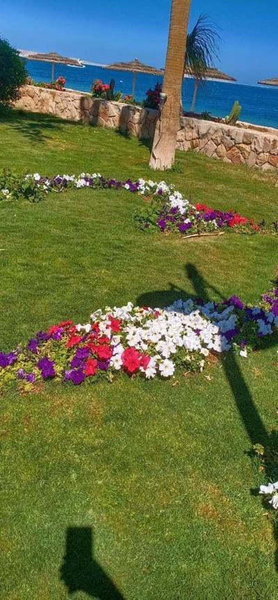 Esplanada Beach Apartment Hurghada Zewnętrze zdjęcie